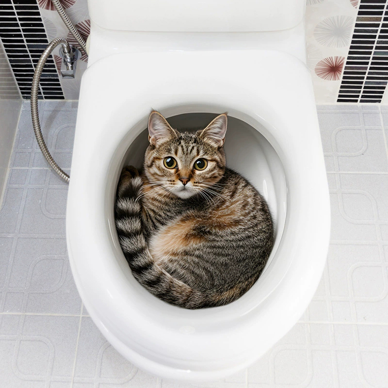 Pegatina 3D divertida de gato  - Jet Home Bathroom Accessories reseña y precio